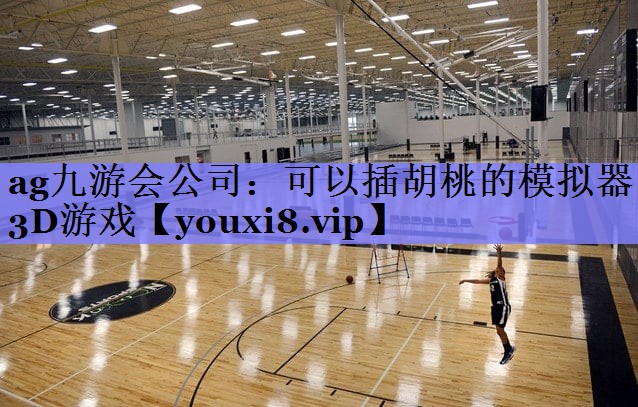 可以插胡桃的模拟器3D游戏 可以插胡桃的模拟器3D游戏