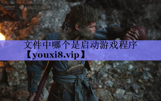 文件中哪个是启动游戏程序