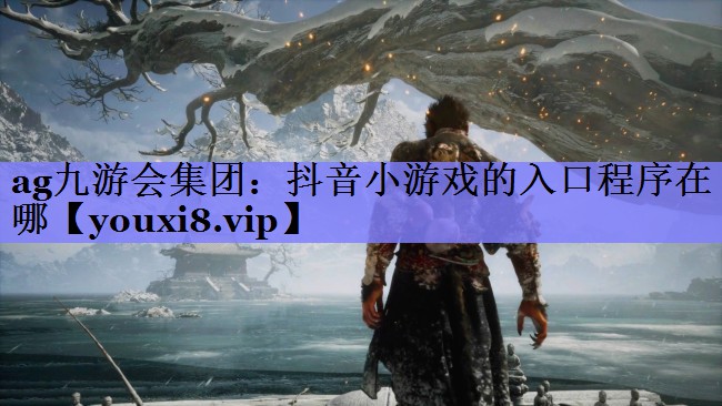 ag九游会集团：抖音小游戏的入口程序在哪