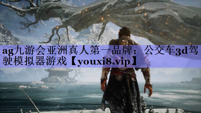 ag九游会亚洲真人第一品牌：公交车3d驾驶模拟器游戏
