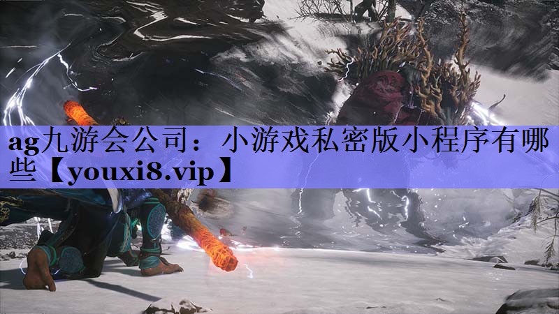 ag九游会公司：小游戏私密版小程序有哪些