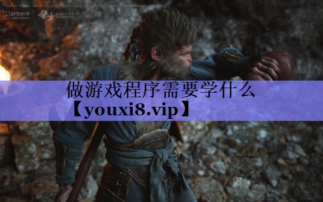 做游戏程序需要学什么 做游戏程序需要学什么
