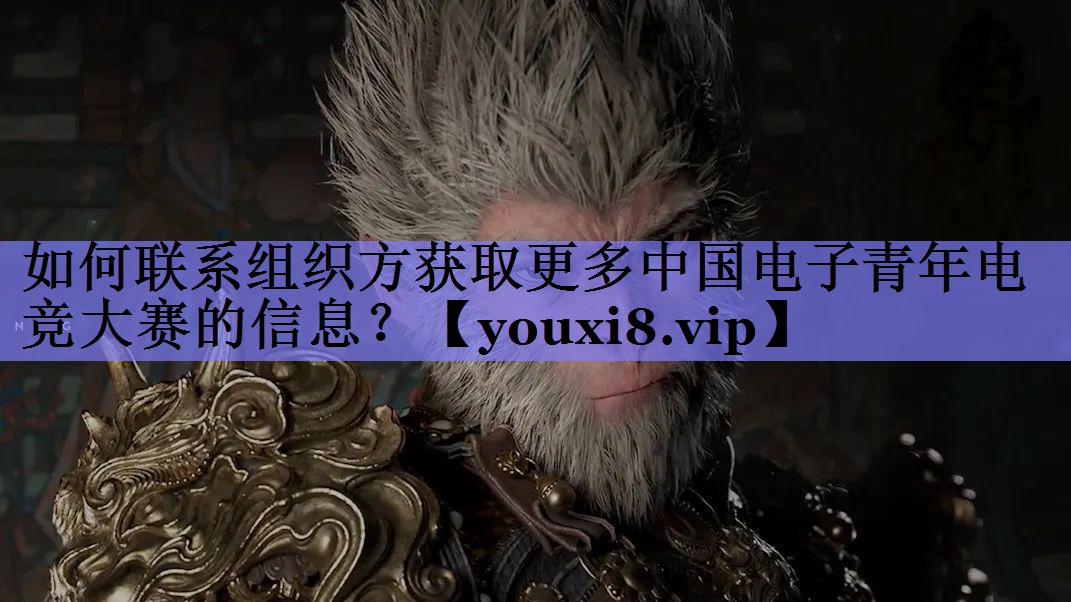 如何联系组织方获取更多中国电子青年电竞大赛的信息? 如何联系组织方获取更多中国电子青年电竞大赛的信息?